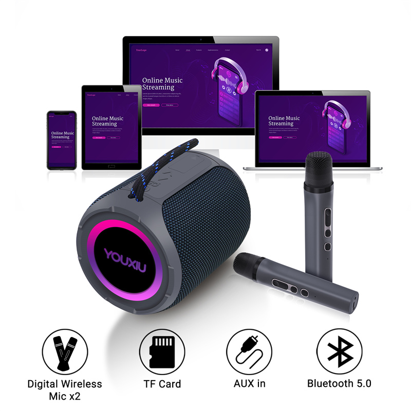 40 W draagbare Bluetooth-luids - Portable Bluetooth Speaker Waterproof Ipx7 recensie en prijs
