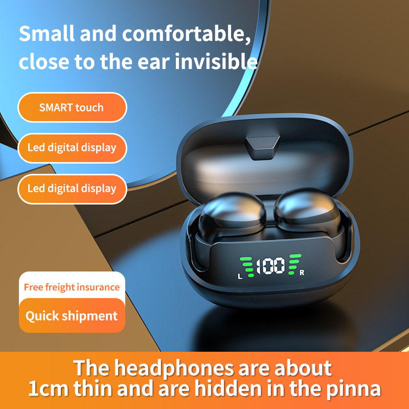 Mini draadloze TWS Bluetooth 5 - Tws Earbuds Bluetooth 5.3 recensie en prijs