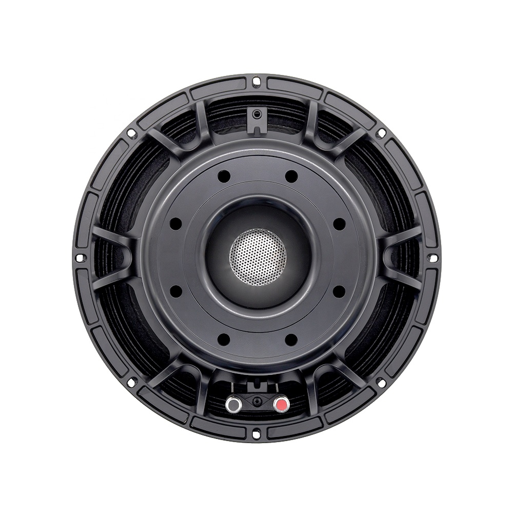12DS Pro Audioapparatuur 12''  - Speakers recensie en prijs